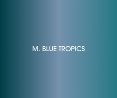 Rastafri Silky Braid Pre Stretched